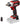 Einhell IMPAXXO 18/230 Power X-Change Cordless Impact Wrench - Power Tool - Professional Grade - product image