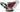 Einhell Professional Cordless Random Orbital Sander TP-RS 18/32 Li BL-Solo Power X-Change - Power Tool - Professional Grade - product image