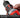 Einhell Professional Cordless Impact Drill/Screwdriver TE-CD 18/50 Li-i BL Solo Power X-Change - Power Tool - Professional Grade - product image 3