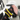 TORQWIN OS6-188CV Air Random Orbital Sander